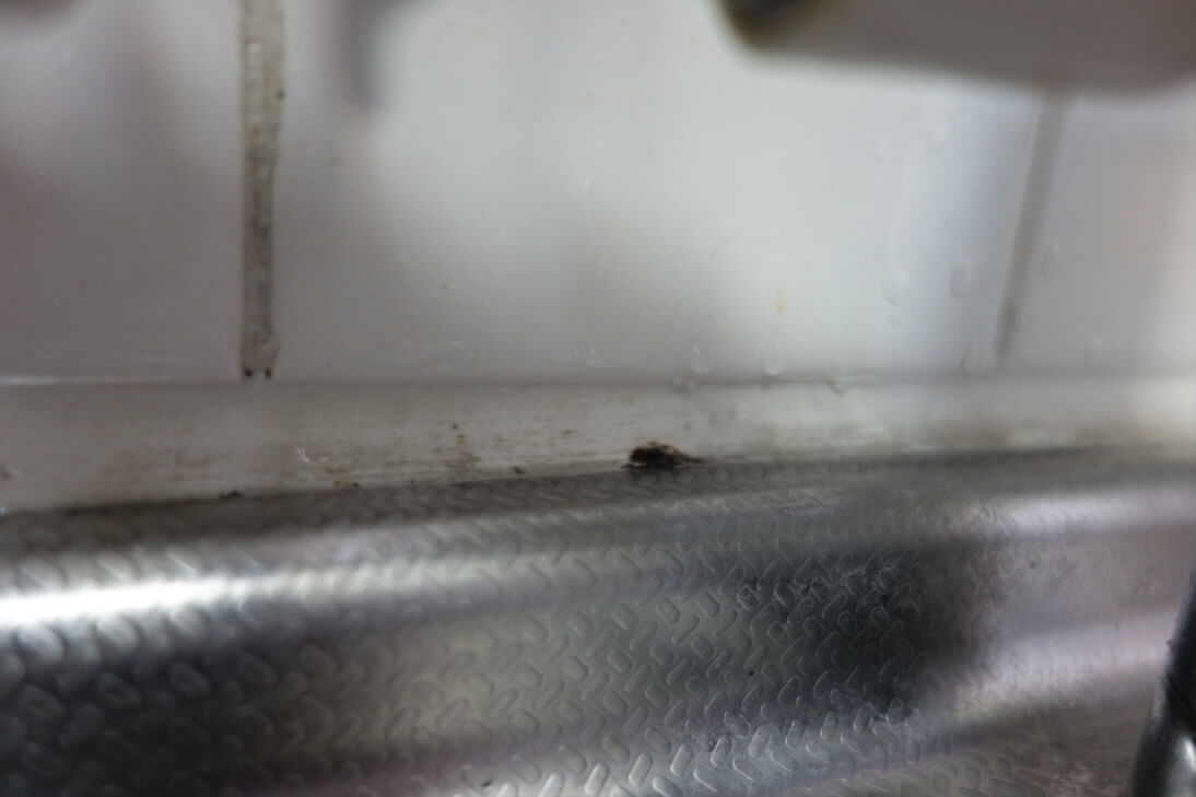 ゴムパッキンの掃除後 (1)