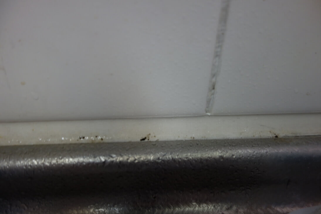 ゴムパッキンの黒かび 掃除前(1)