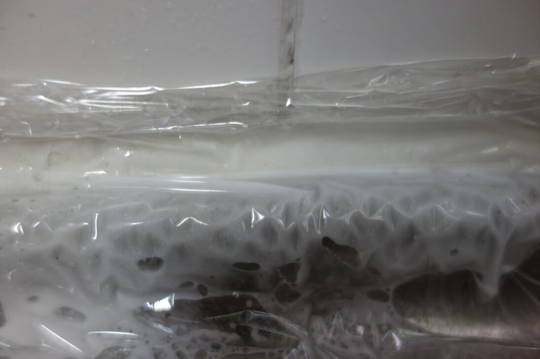 ゴムパッキンの黒かび掃除中