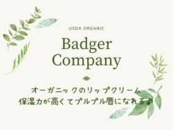 アイハーブのおすすめリップクリームはバジャー!香りも良くて潤いが続く