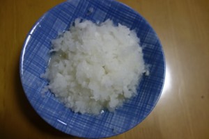 鬼おろし 大根 (2)
