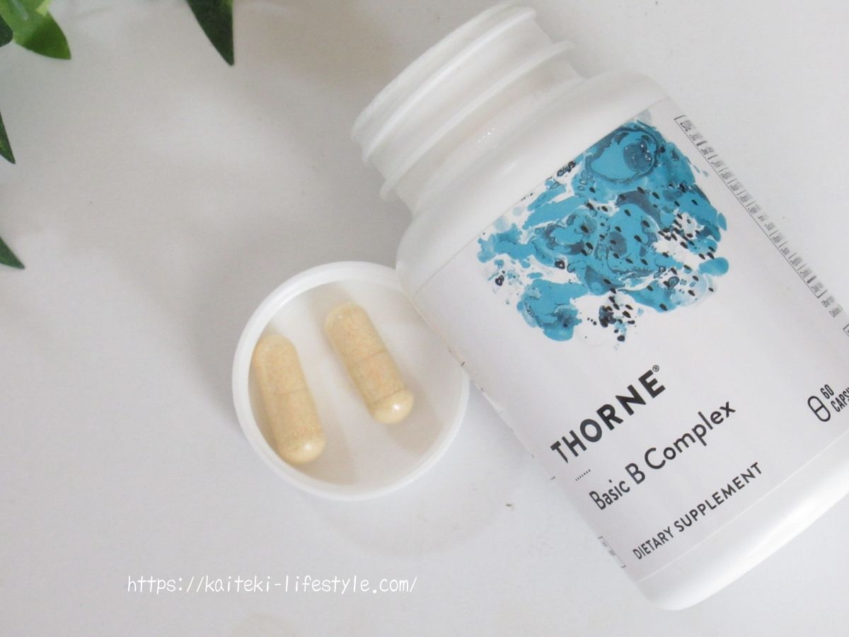 ソーンリサーチベーシックＢ